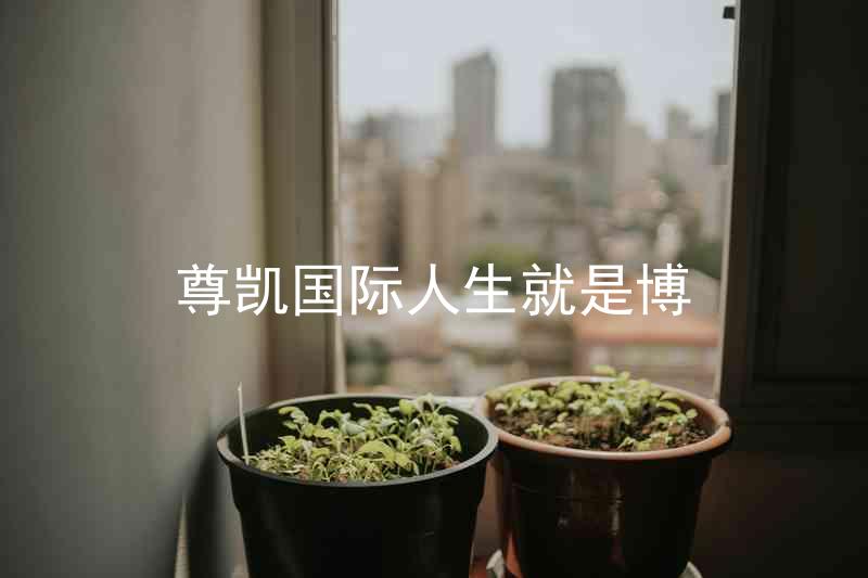 尊凯国际人生就是博